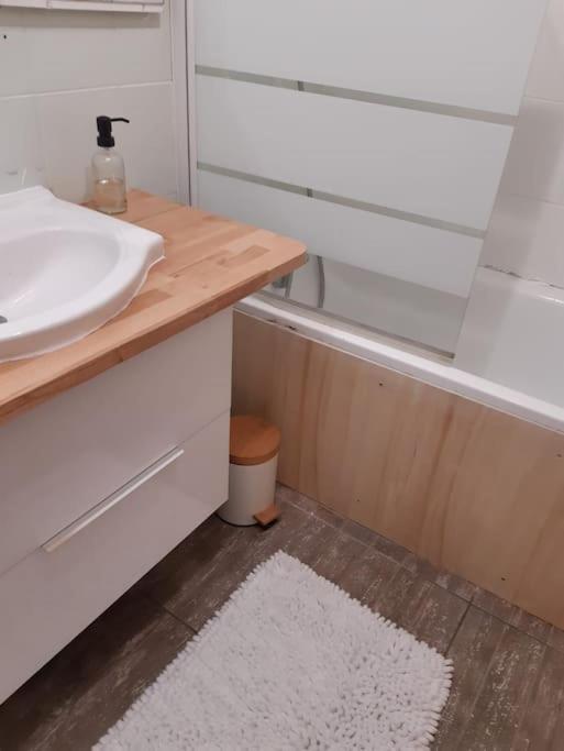 Charmante Maison Renovee, Proche Lac Et Centre-Ville LʼIsle-Jourdain Kültér fotó