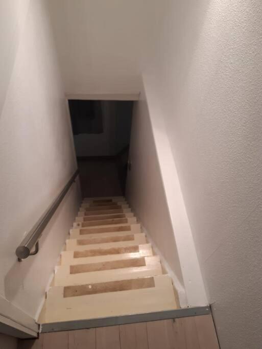 Charmante Maison Renovee, Proche Lac Et Centre-Ville LʼIsle-Jourdain Kültér fotó